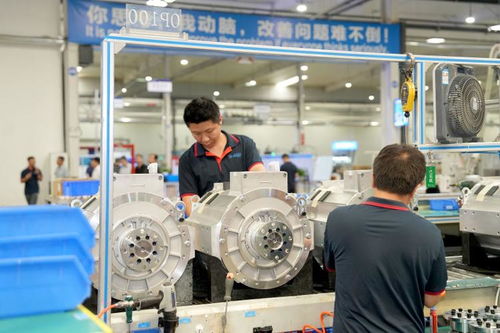 兩新政策紅利惠及生產企業，保稅造借機遇再上新臺階